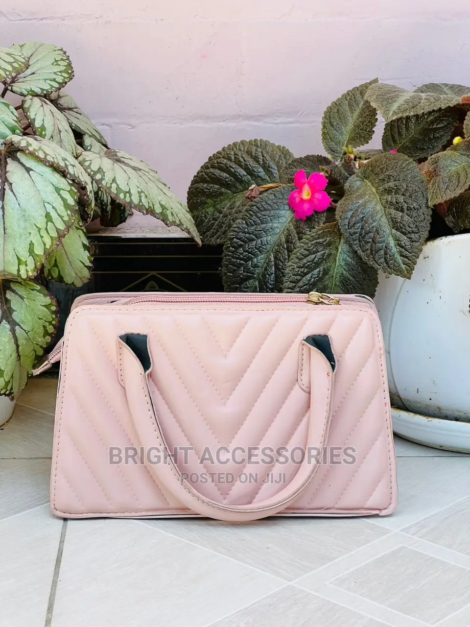 Handbags/Pochi
