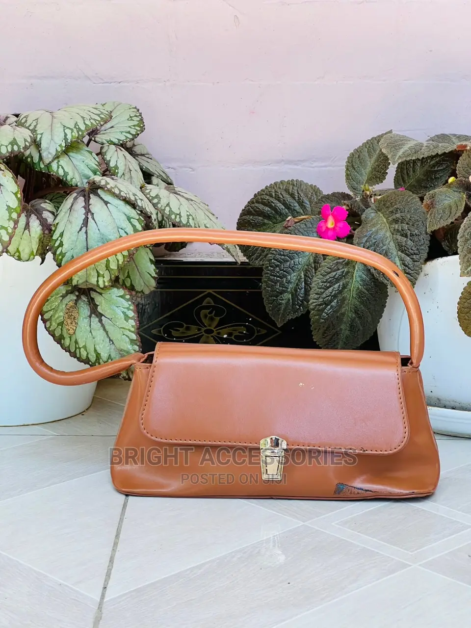 Handbags/Pochi