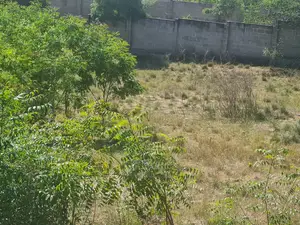 Kiwanja Kinauzwa Goba Lastanza