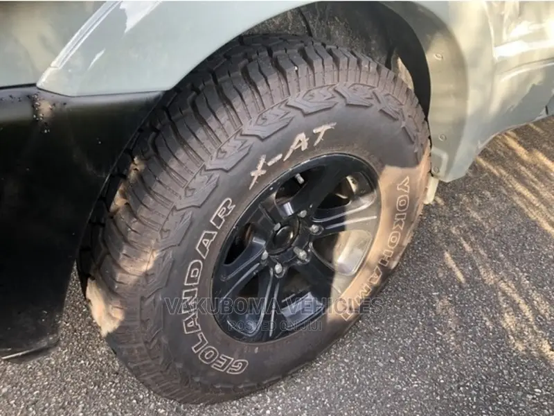 Mitsubishi Pajero 2003 Gray