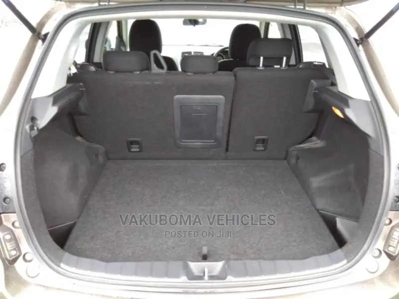 Mitsubishi RVR 2010 Gray