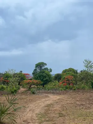 Viwanja Karibu Na Fukwe Za Bahari