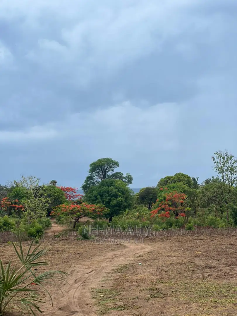 Viwanja Karibu Na Fukwe Za Bahari