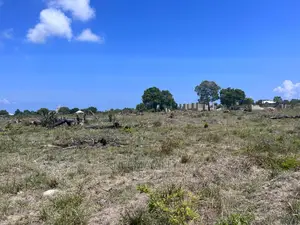 Viwanja Tambarare