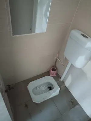1bdrm Apartment in Mikocheni for Rent