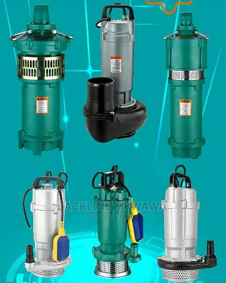 Submersible Clean Water Pump