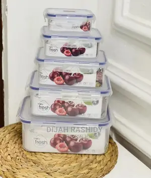 Fridge Container