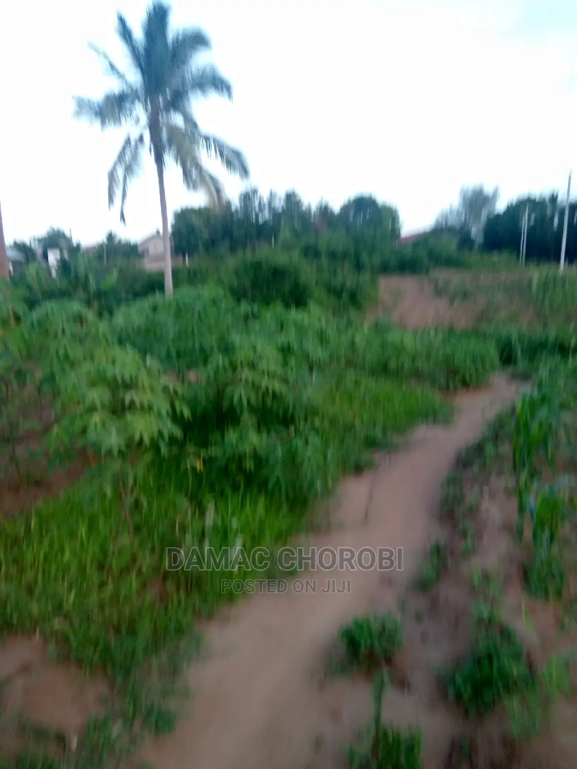 Plot for Sale Qmt 1060 Luguruni Mbezi