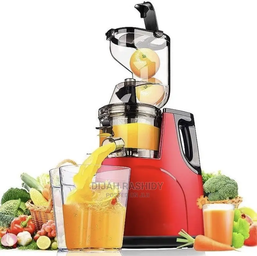 Sokany Whole Slow Juicer