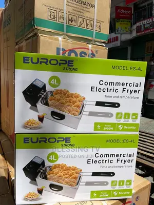 Europe Strong Fryer