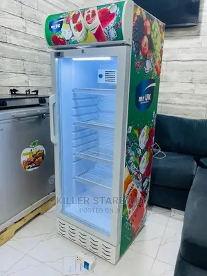 Diplay Fridge Lita 202