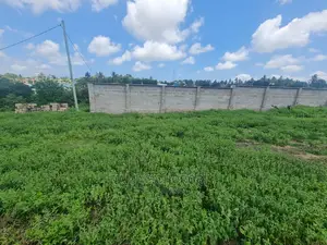 Kiwanja Cha Biashara Makaxi Kinauzwa Qmt 2000 Kibamba