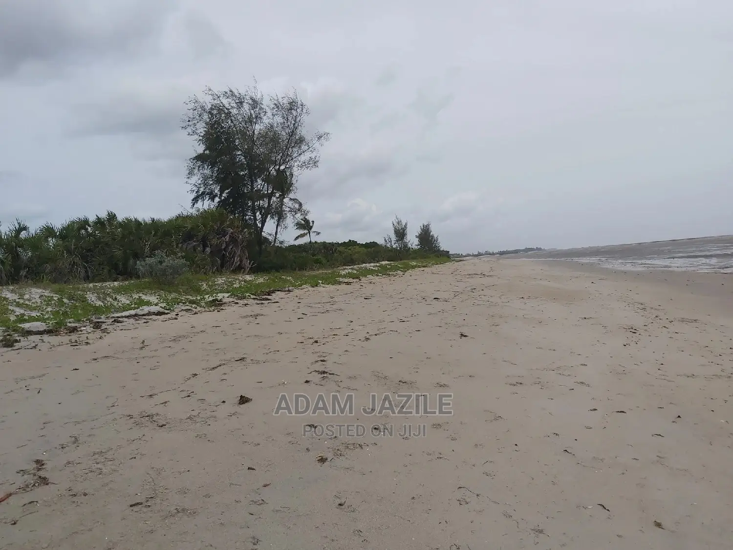 Beach Prote Inauzwa Mkwaja Tanga