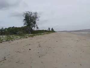 Beach Prote Inauzwa Mkwaja Tanga