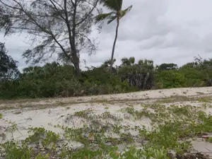 Beach Prote Inauzwa Mkwaja Tanga