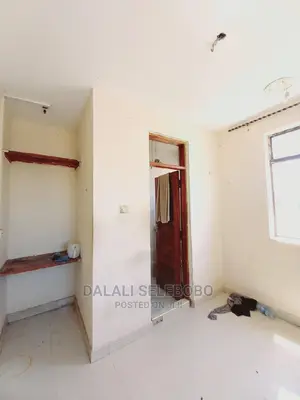 Mini Flat in Sinza D for Rent