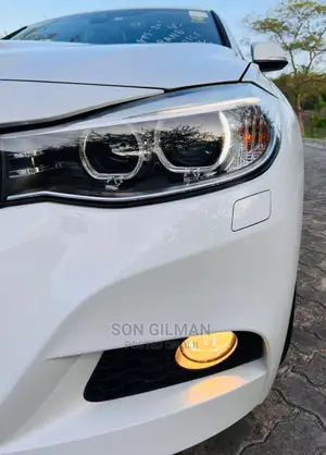 BMW 3 Series 2015 White