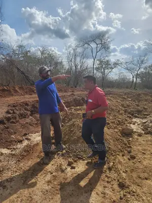 Mgodi Unauzwa Tanga