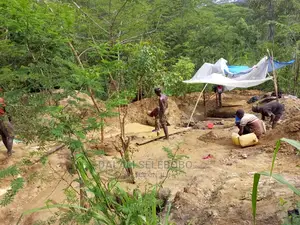 Mgodi Unauzwa Tanga
