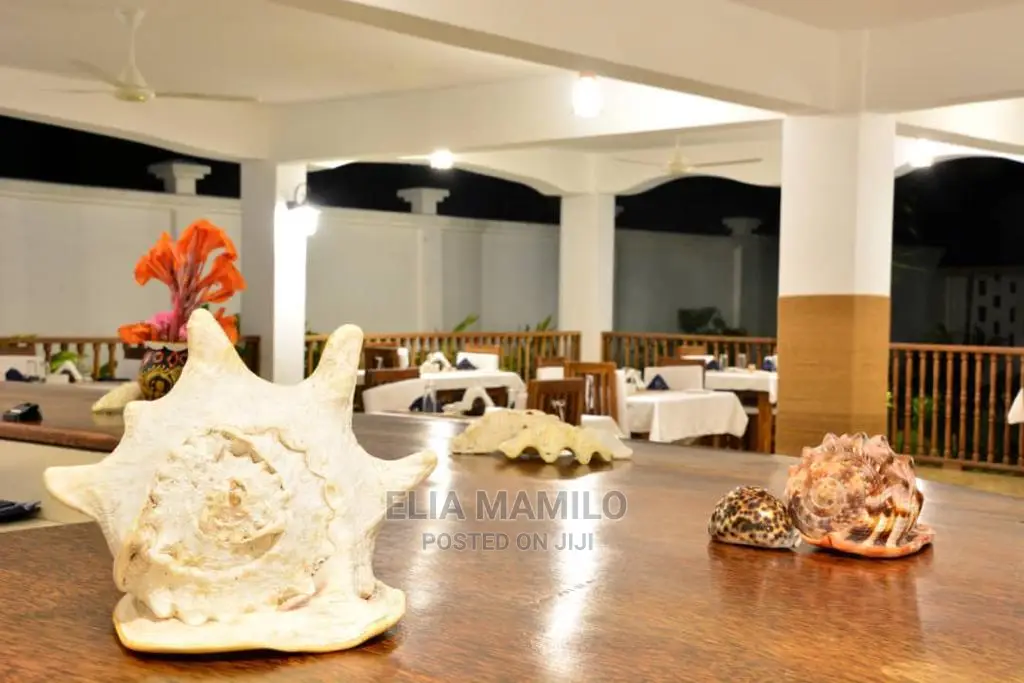 3 Star Hotel for Sale in Zanzibar, Matemwe.