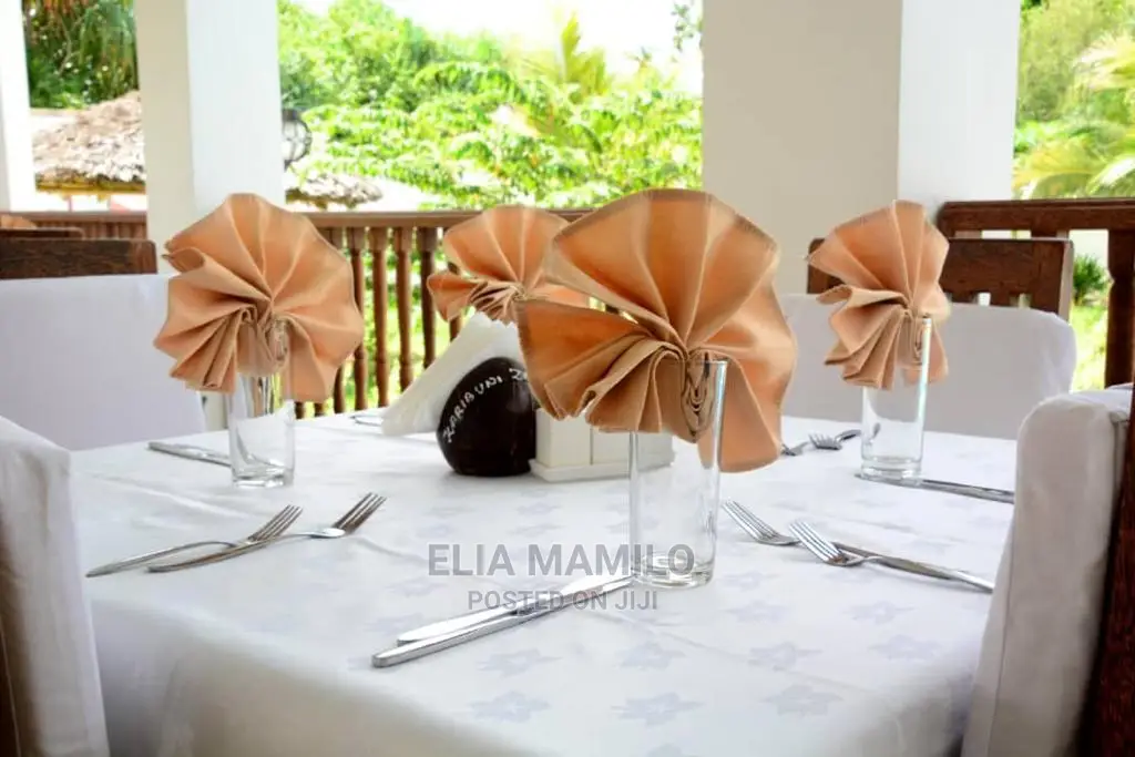 3 Star Hotel for Sale in Zanzibar, Matemwe.