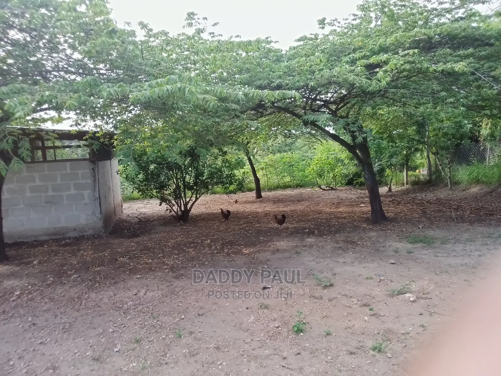 2.5 Acres of Land for Sale