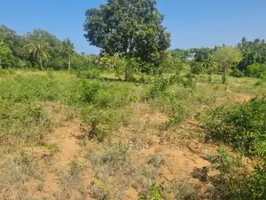 Kiwanja Kinauzwa Bunju
