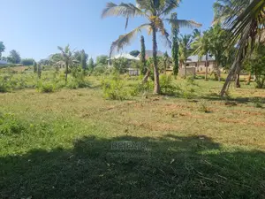 Kiwanja Kinauzwa Bunju