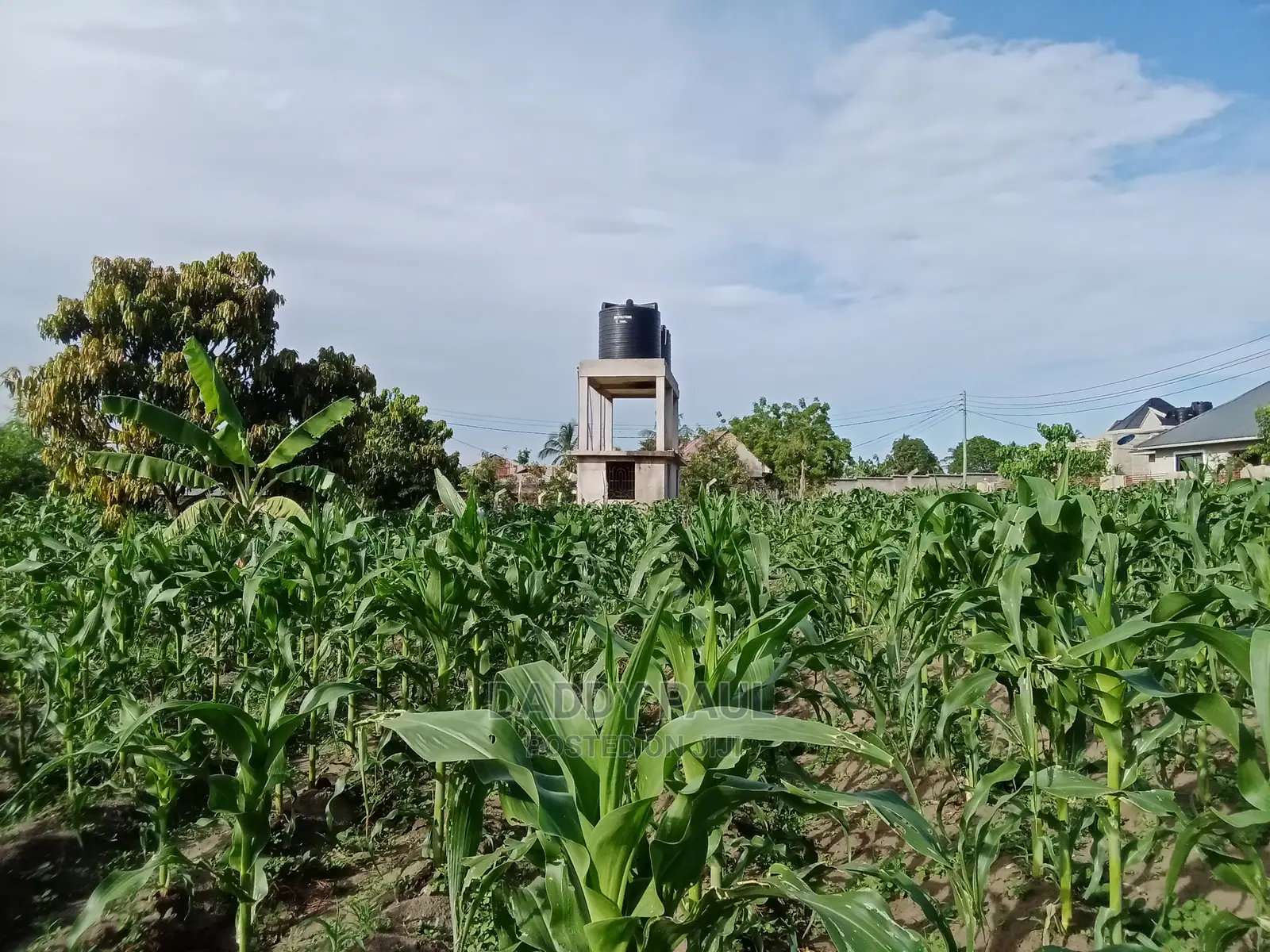 2.5 Acres of Land for Sale