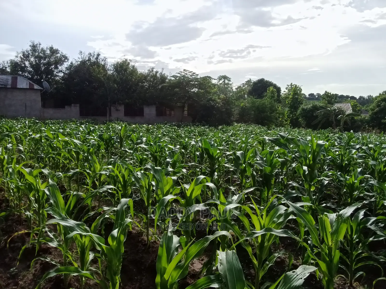 2.5 Acres of Land for Sale