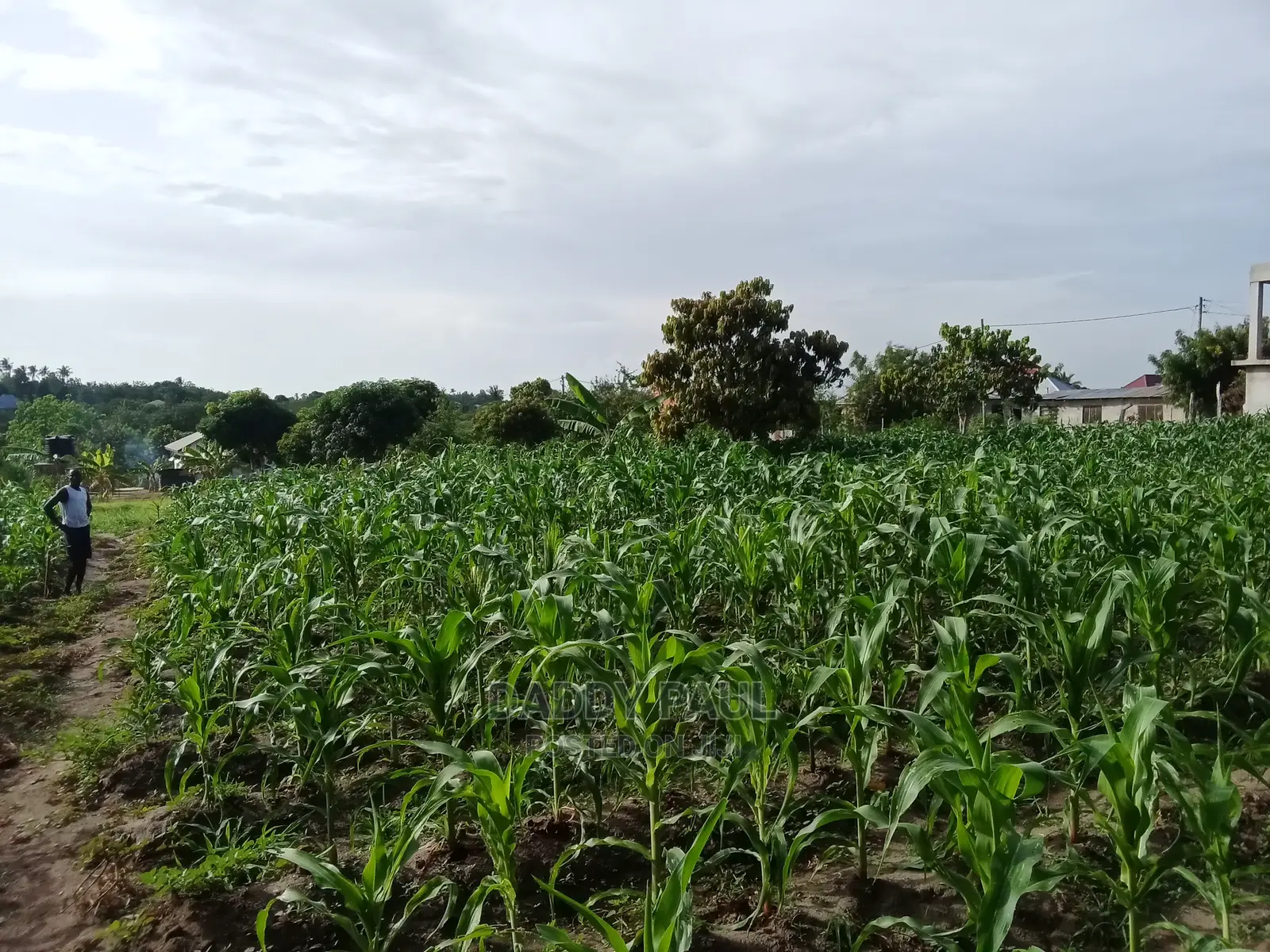 2.5 Acres of Land for Sale