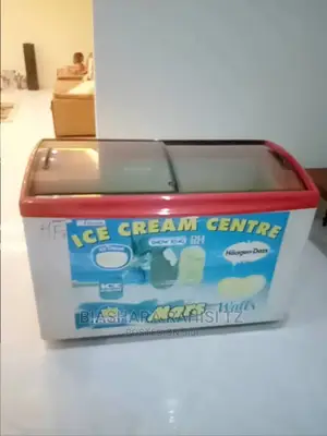 Display Freezer Lita 300