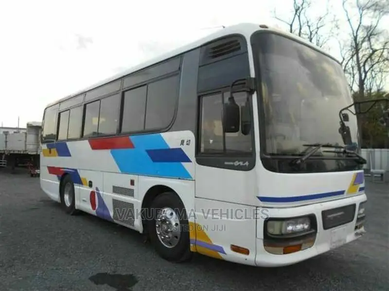 Isuzu Executive Bus 1998 White