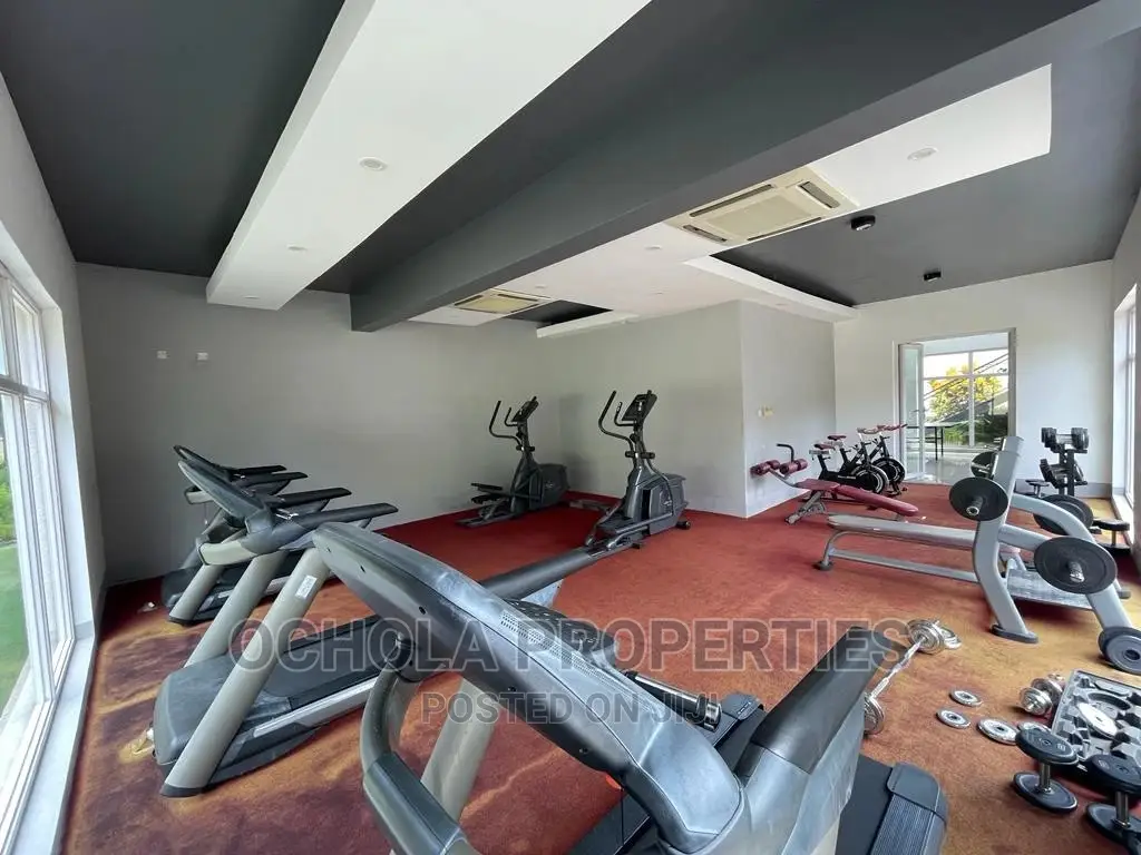 Furnished 3bdrm Apartment in Masaki for rent