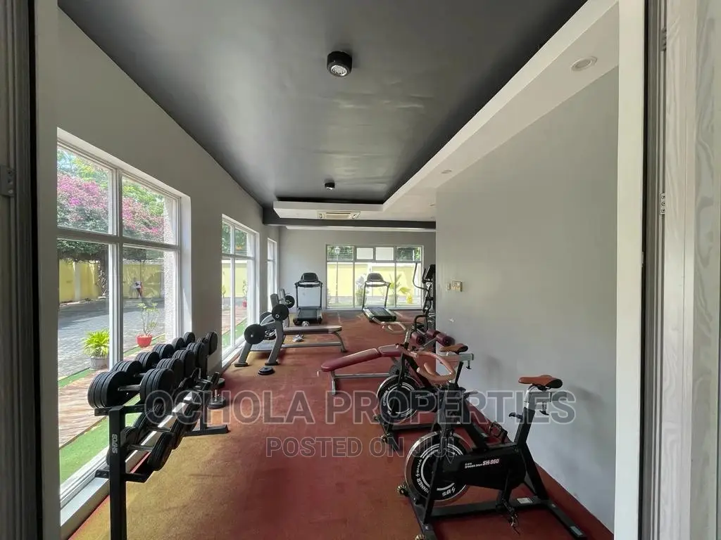 Furnished 3bdrm Apartment in Masaki for rent