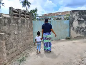 Plot Kubwa Sana Stakishari