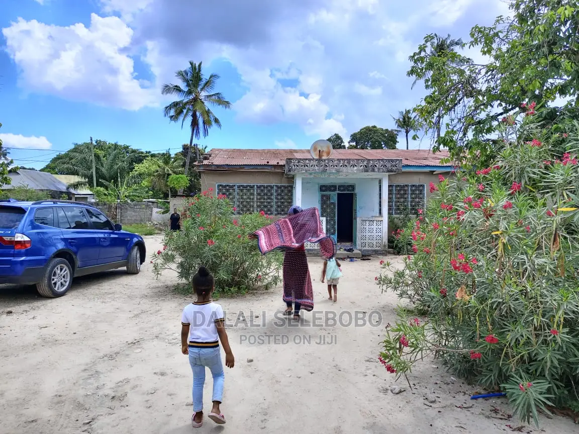 Plot Kubwa Sana Stakishari
