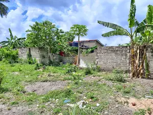 Plot Kubwa Sana Stakishari