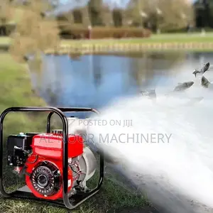 Royalty Water Pump