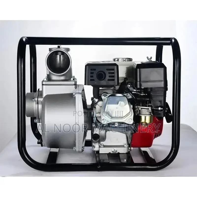 Royalty Water Pump