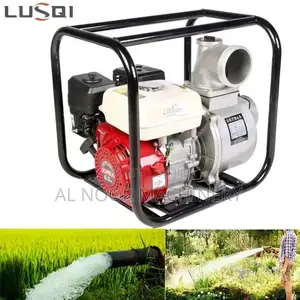 Royalty Water Pump