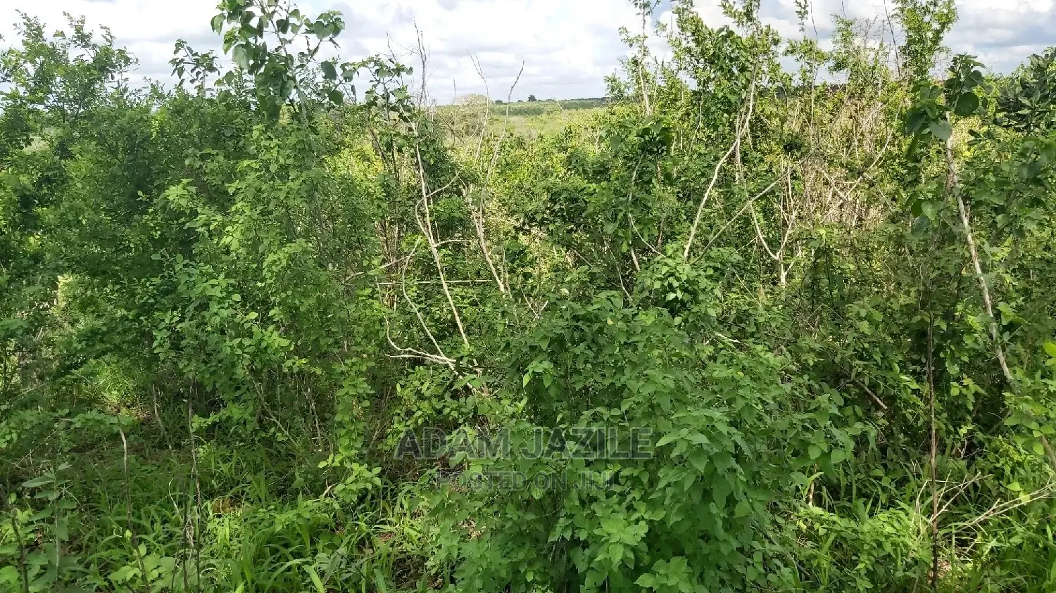 Shamba LA Ekari 100 Linauzwa Mbwewe Chalinze Pwani