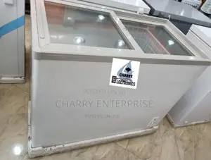 BISH Showcase Freezer Imara Yenye Powerful Compressor 300L