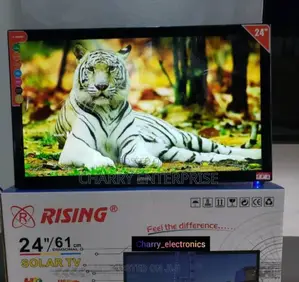 RISING Tv 24 Inch Claer Sound AC/ DC