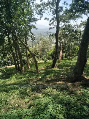 1 Acre of Land for Sale- Kwa Mrefuu,Arusha