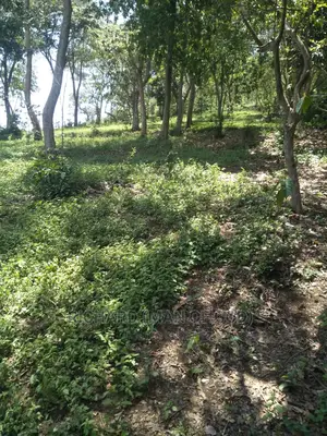 1 Acre of Land for Sale- Kwa Mrefuu,Arusha