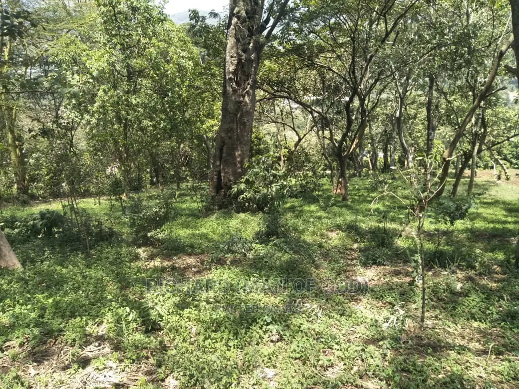 1 Acre of Land for Sale- Kwa Mrefuu,Arusha
