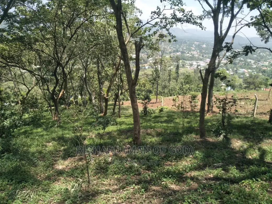 1 Acre of Land for Sale- Kwa Mrefuu,Arusha
