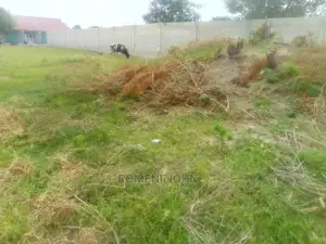 Kiwanja Kinauzwa Milioni 2 Na Laki Nane Ukonga.