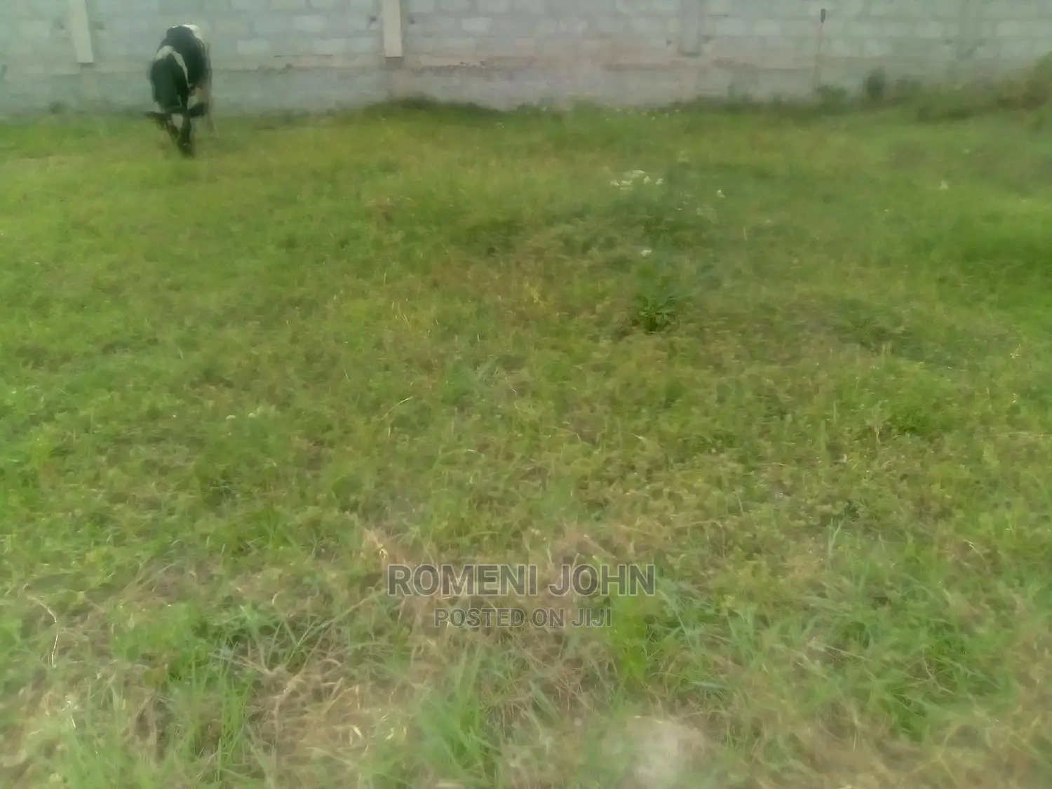 Kiwanja Kinauzwa Milioni 2 Na Laki Mbili Ukonga Viwege.